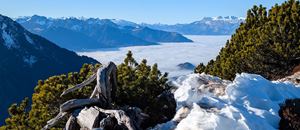 auf dem Weg zur Kellaspitze